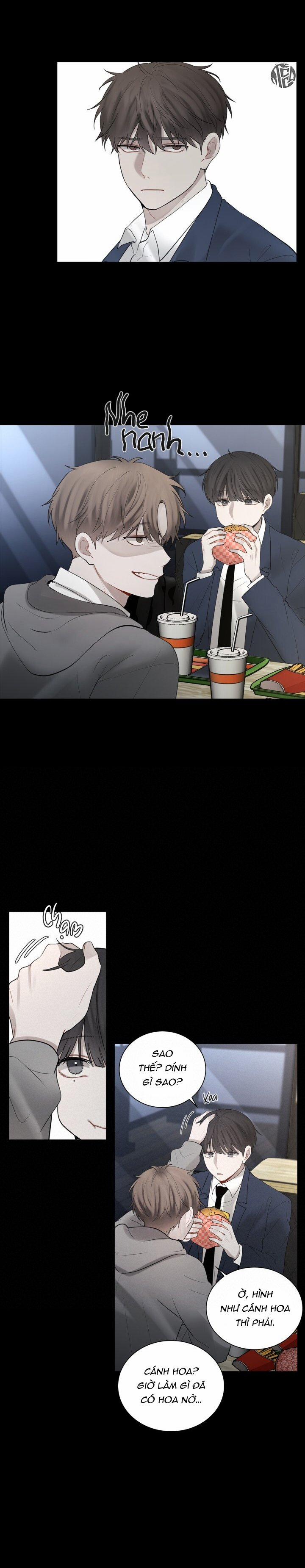 Hình Bóng Phản Chiếu 12 trang 15