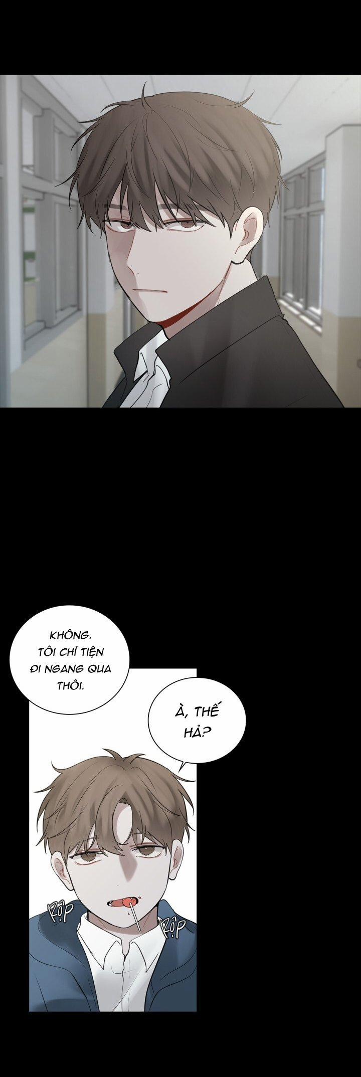 Hình Bóng Phản Chiếu 12 trang 22