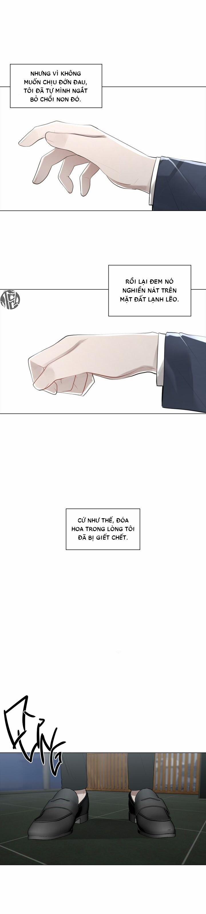 Hình Bóng Phản Chiếu 14 trang 24