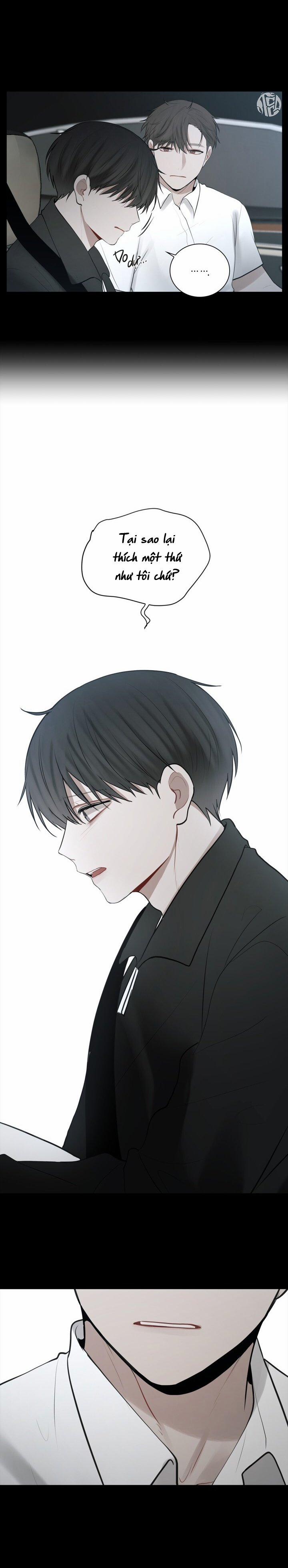 Hình Bóng Phản Chiếu 16 trang 8