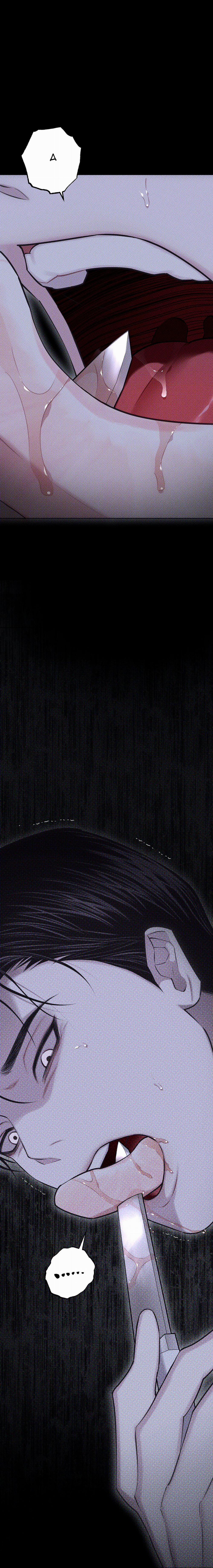 Hình Thái Tình Tan 52 trang 16