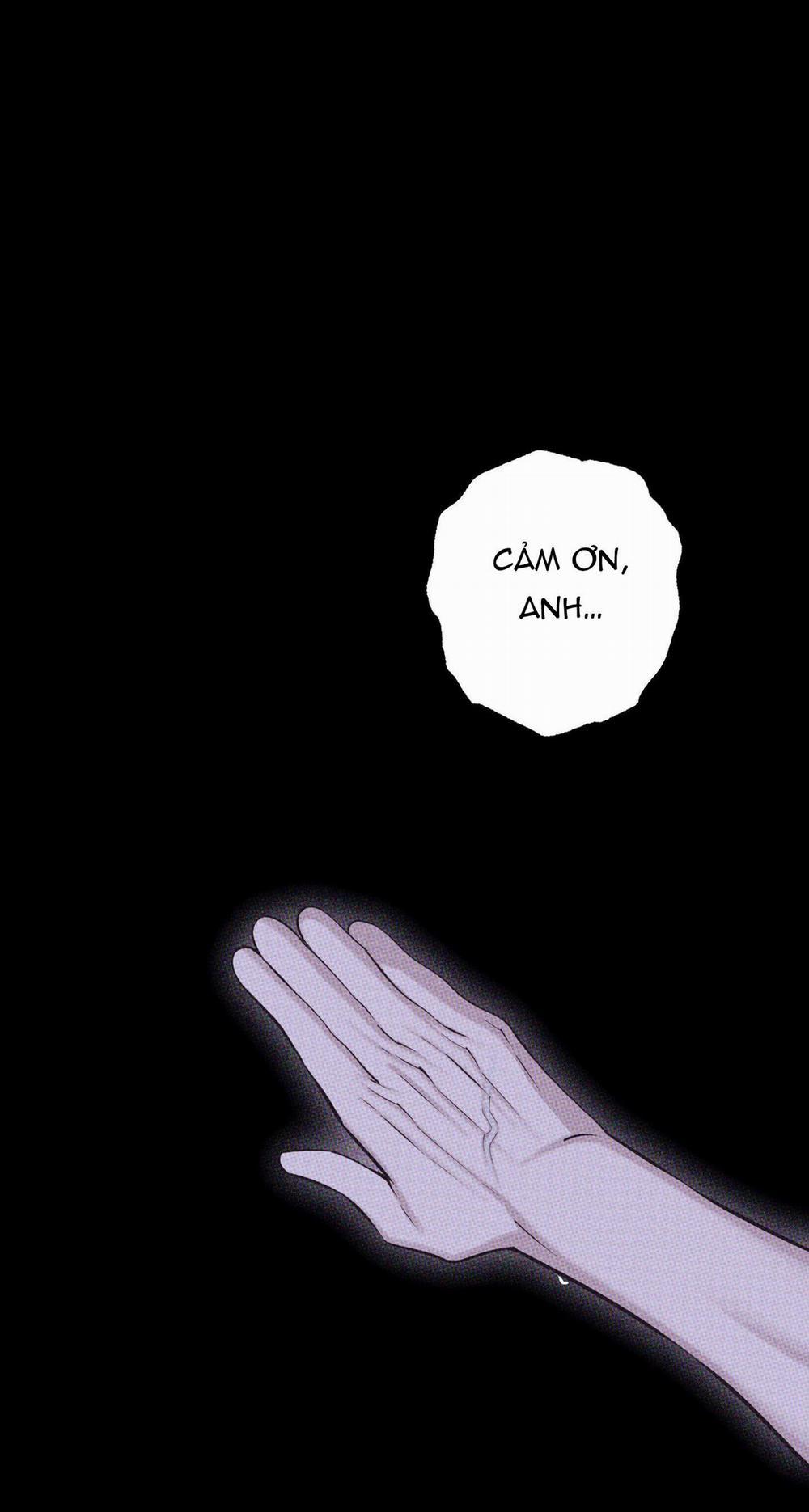 Hình Thái Tình Tan 55 trang 27