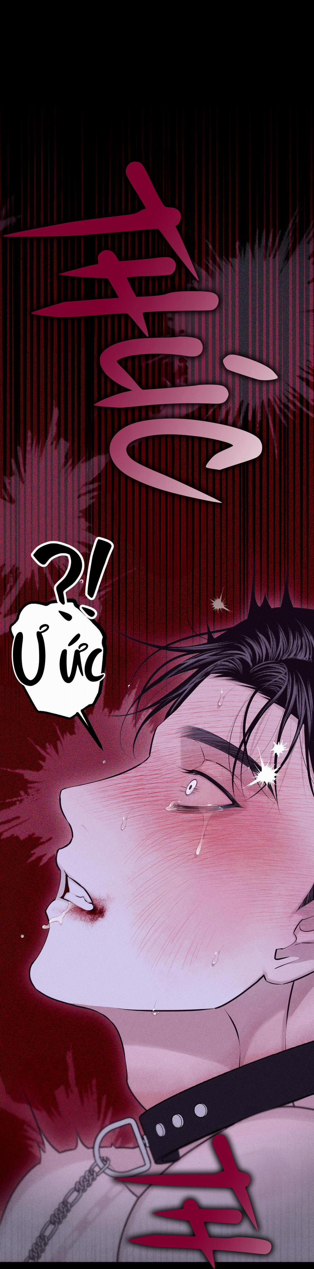 Hình Thái Tình Tan 56 trang 16