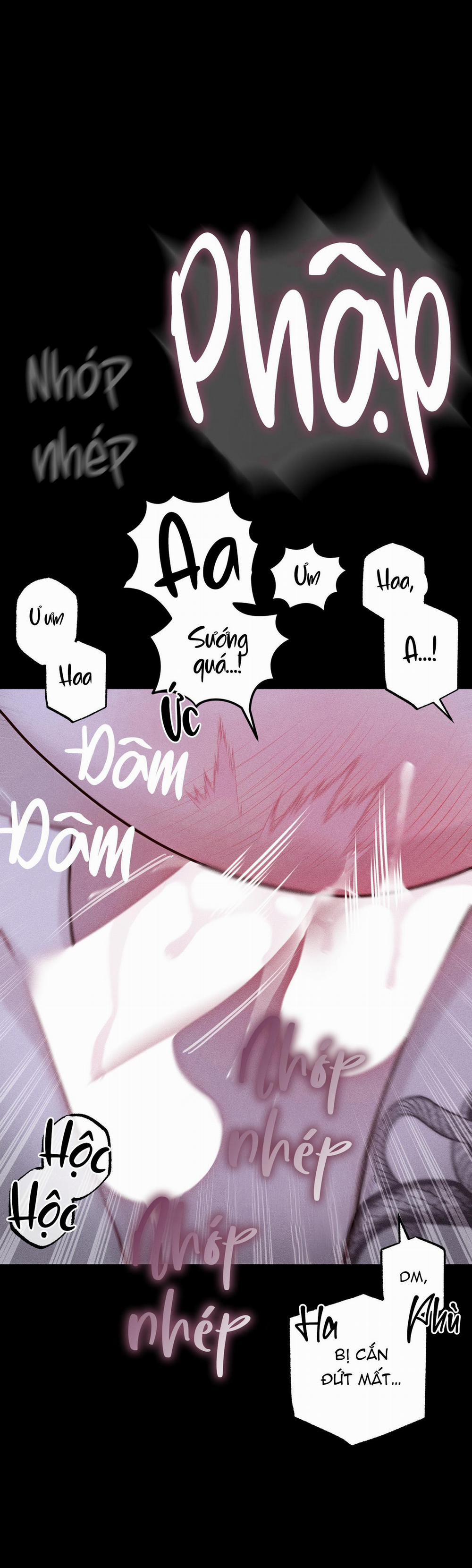 Hình Thái Tình Tan 56 trang 41