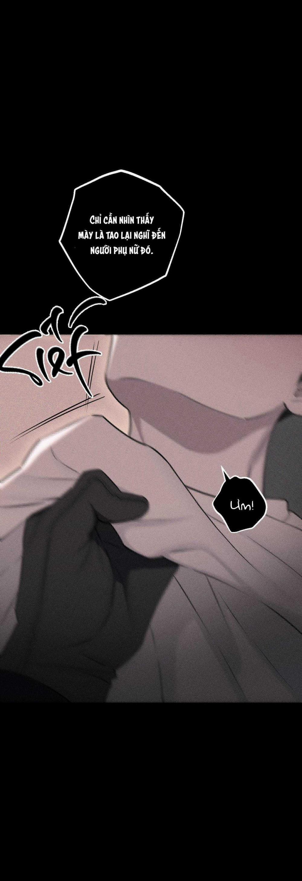 Hình Thái Tình Tan 57 trang 17