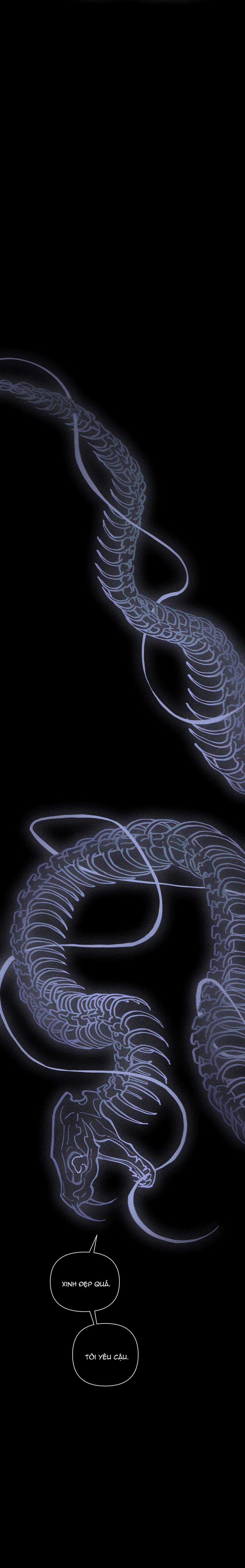 Hình Thái Tình Tan 60 trang 1