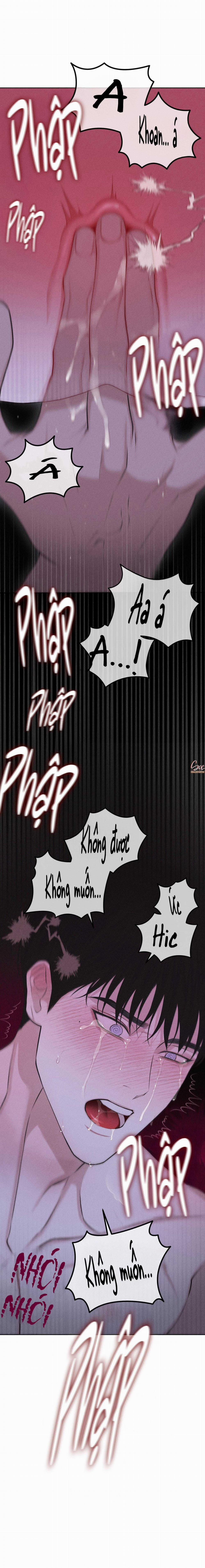 Hình Thái Tình Tan 61 trang 55