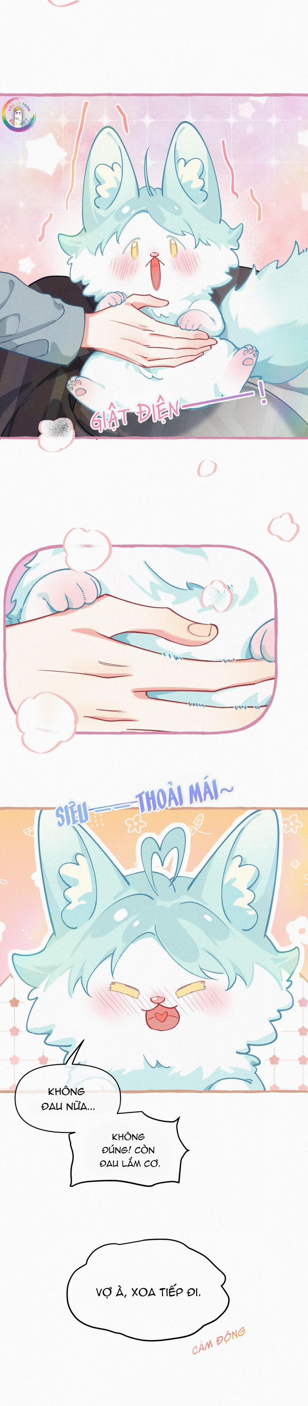 Hồ Ly Hay Là “hồ Dán” Vậy? 11 trang 5