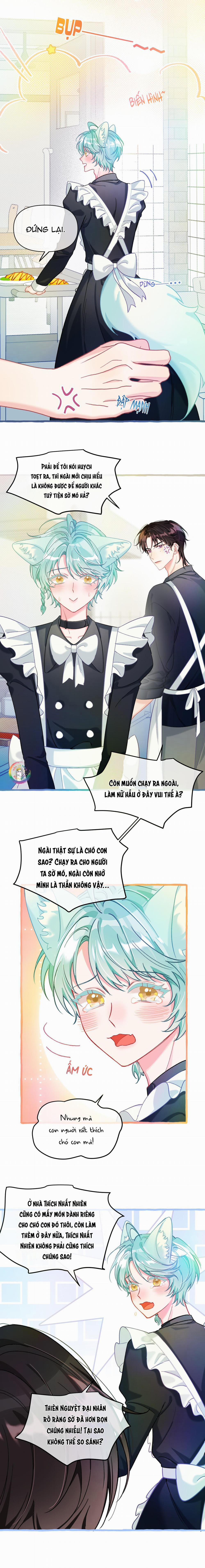 Hồ Ly Hay Là “hồ Dán” Vậy? 24 trang 2