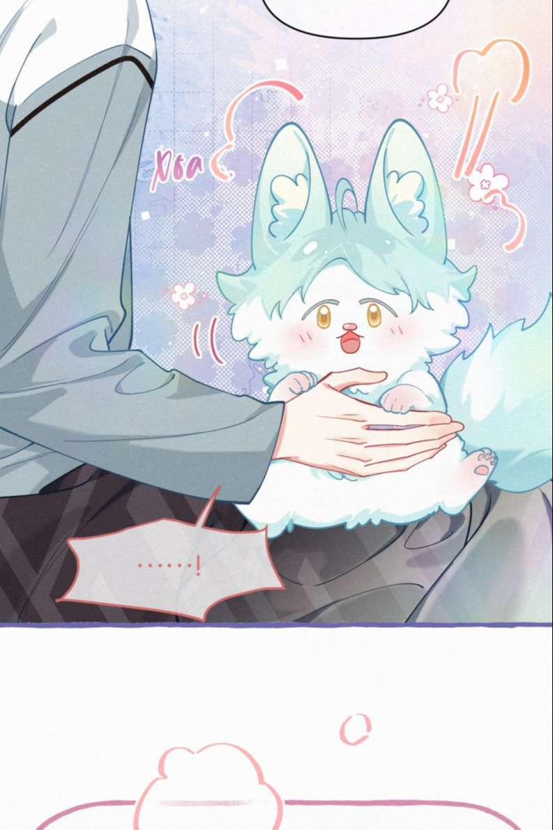 Hồ Ly Rắc Rối 11 trang 12