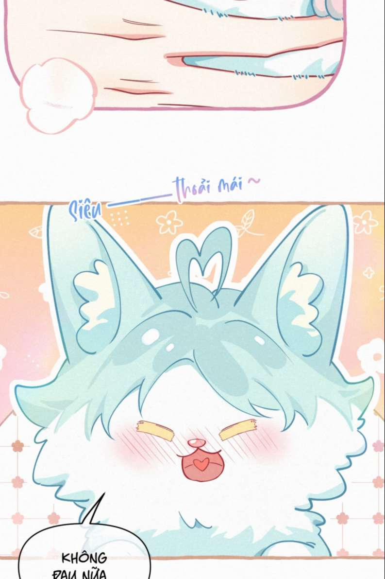 Hồ Ly Rắc Rối 11 trang 15