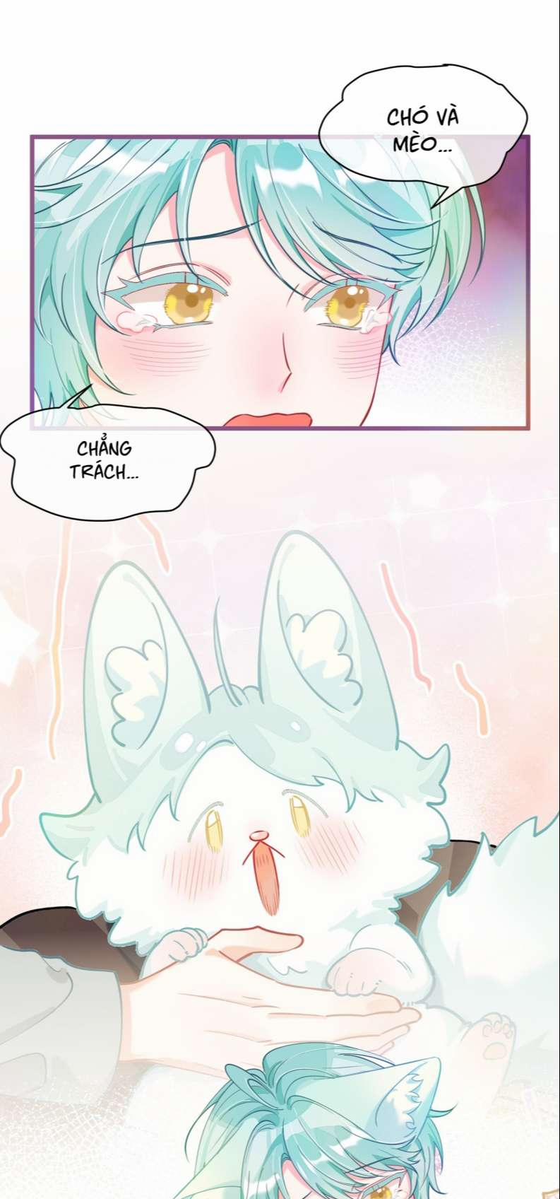 Hồ Ly Rắc Rối 22 trang 24