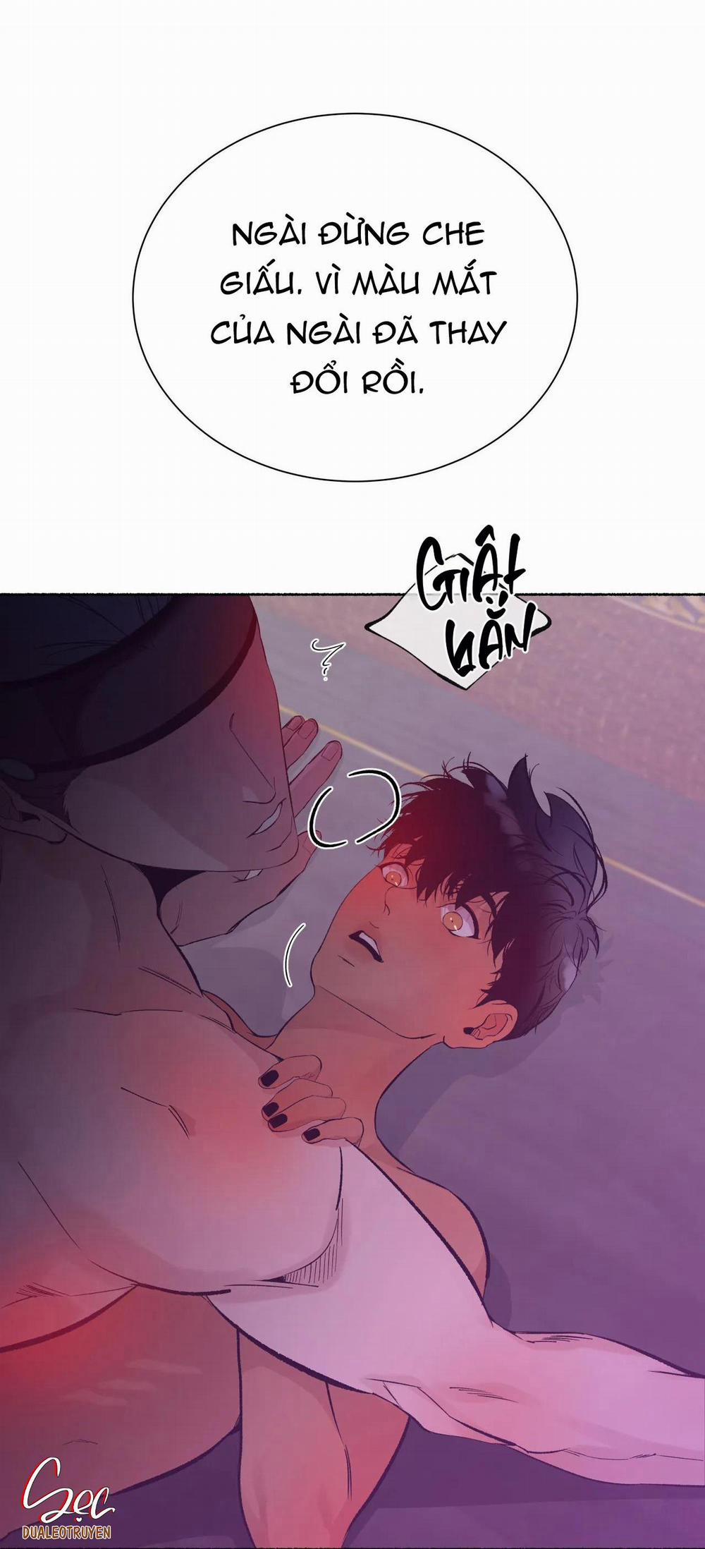 Hổ Ngàn Năm 39 trang 42