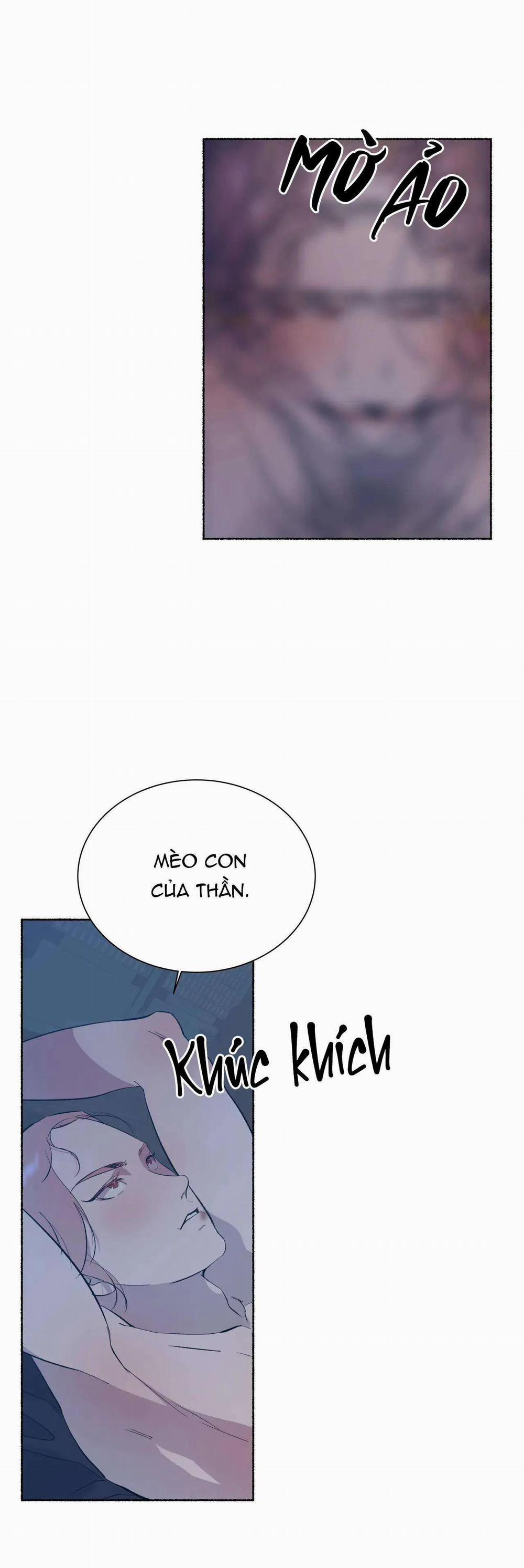 Hổ Ngàn Năm 41 trang 39