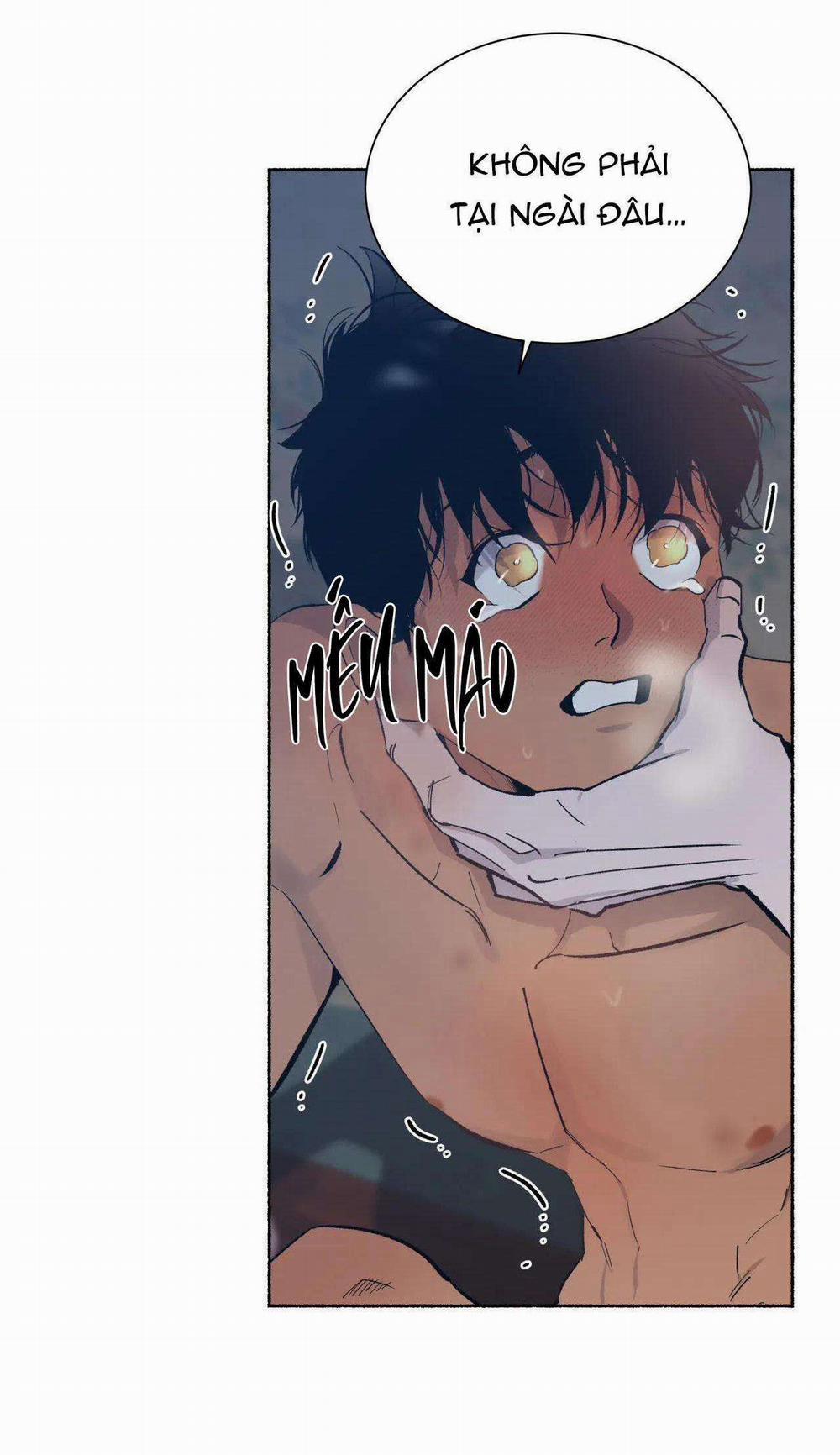 Hổ Ngàn Năm 43 trang 2