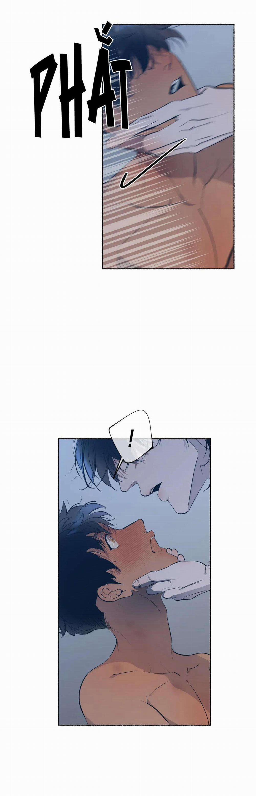 Hổ Ngàn Năm 43 trang 8