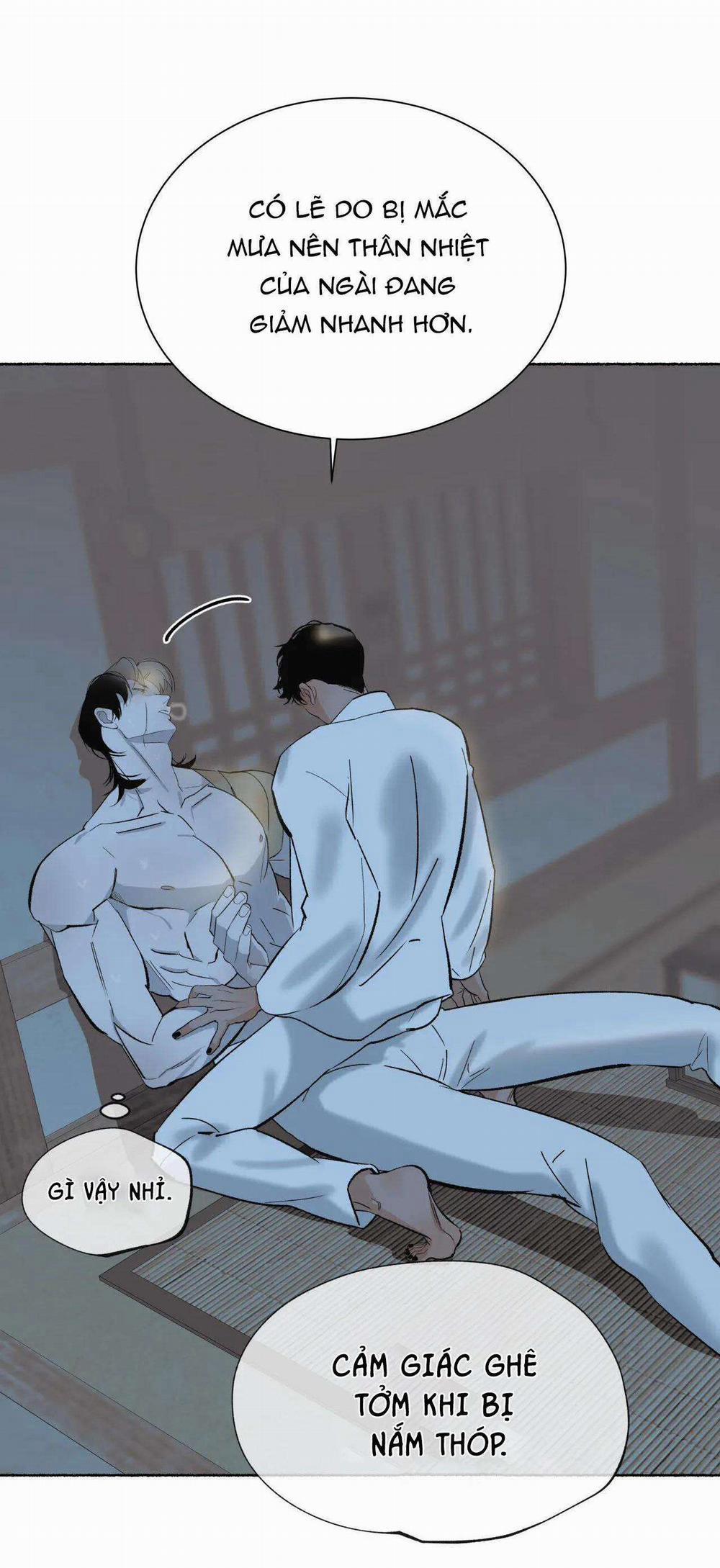 Hổ Ngàn Năm 46 trang 16