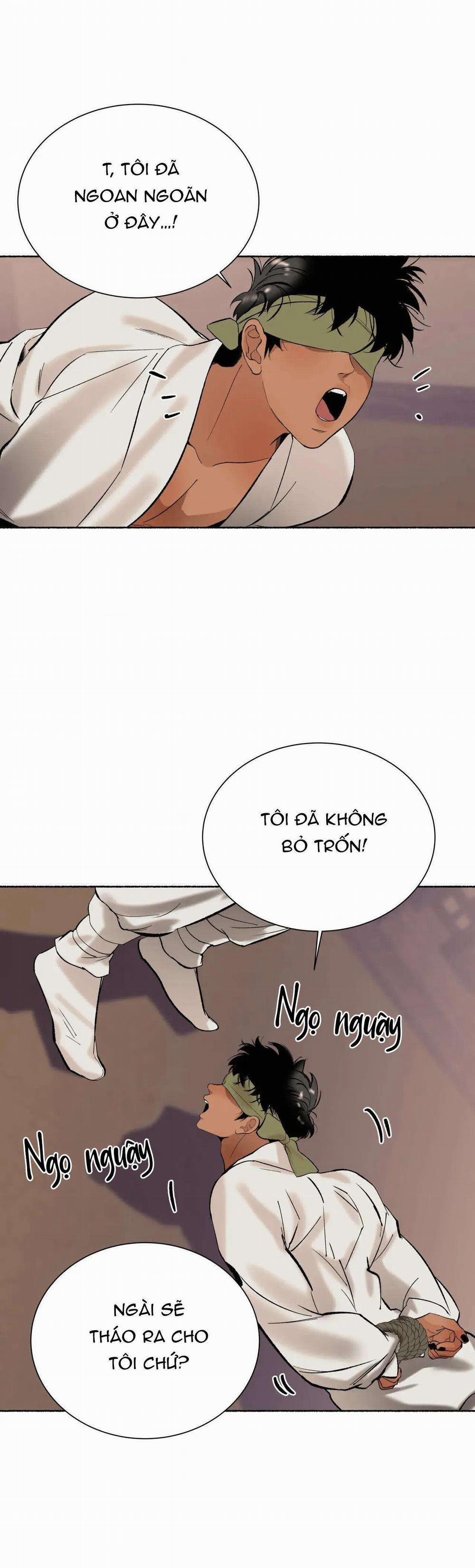 Hổ Ngàn Năm 49 trang 14