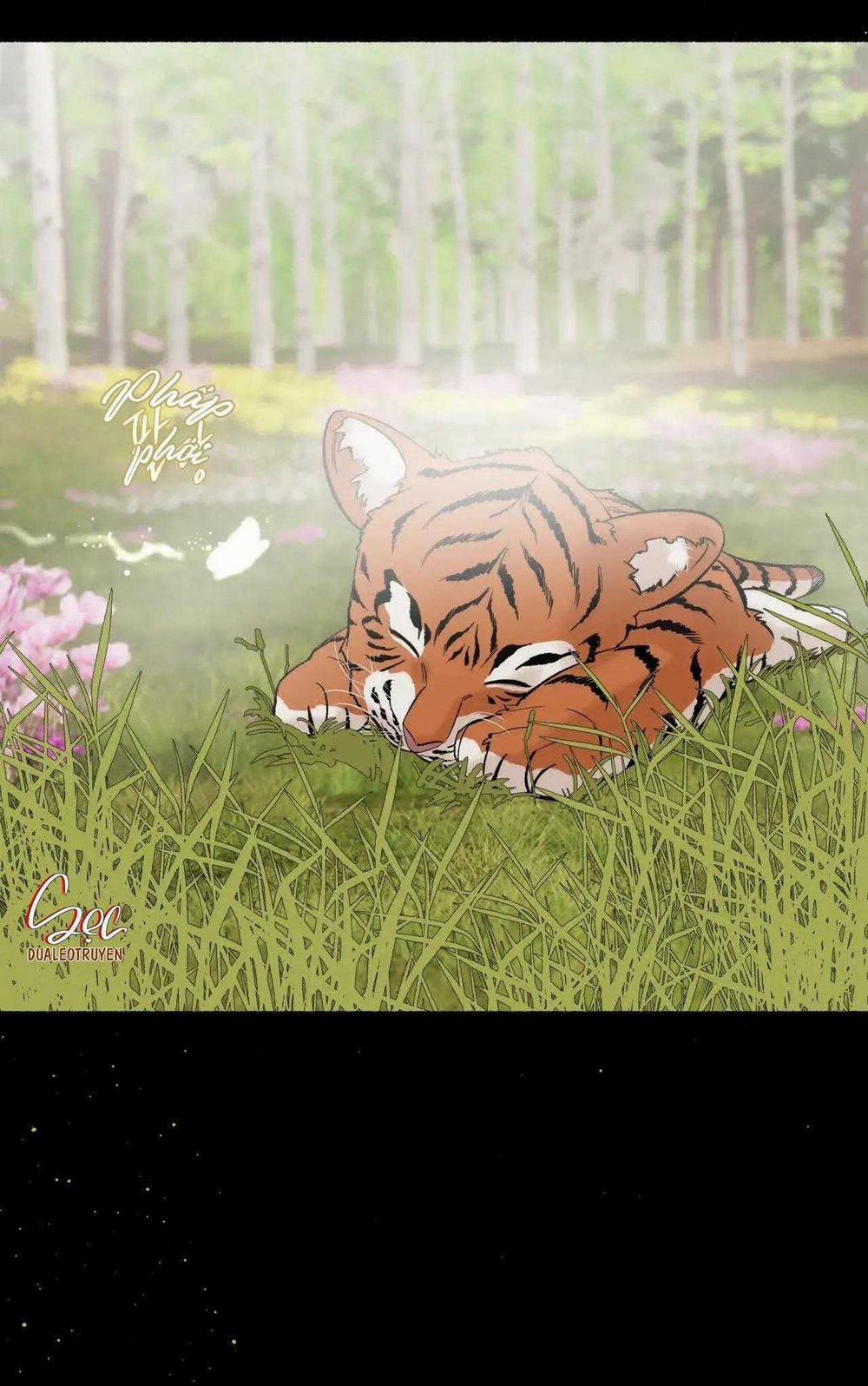 Hổ Ngàn Năm 52 trang 52