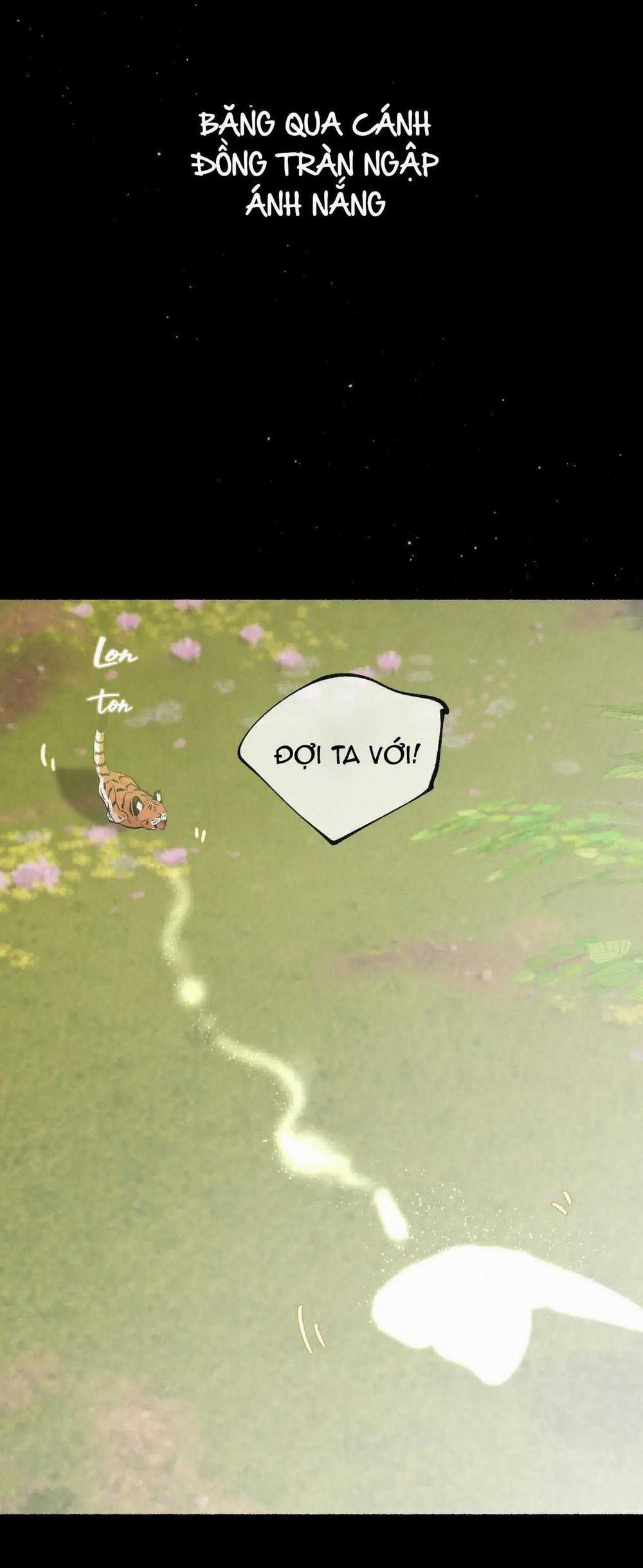 Hổ Ngàn Năm 52 trang 53