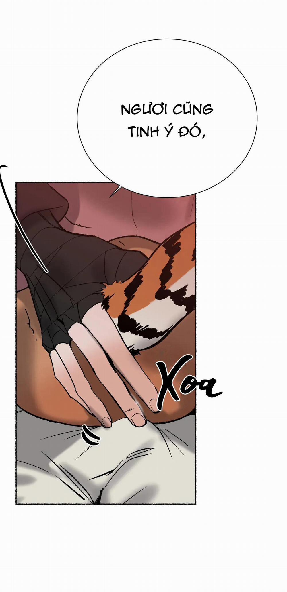 Hổ Ngàn Năm 53 trang 21