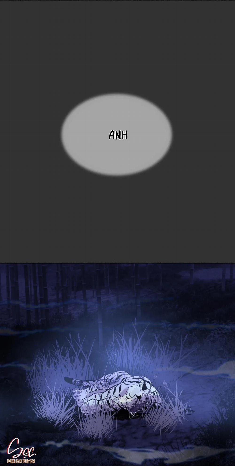 Hổ Ngàn Năm 55 trang 11