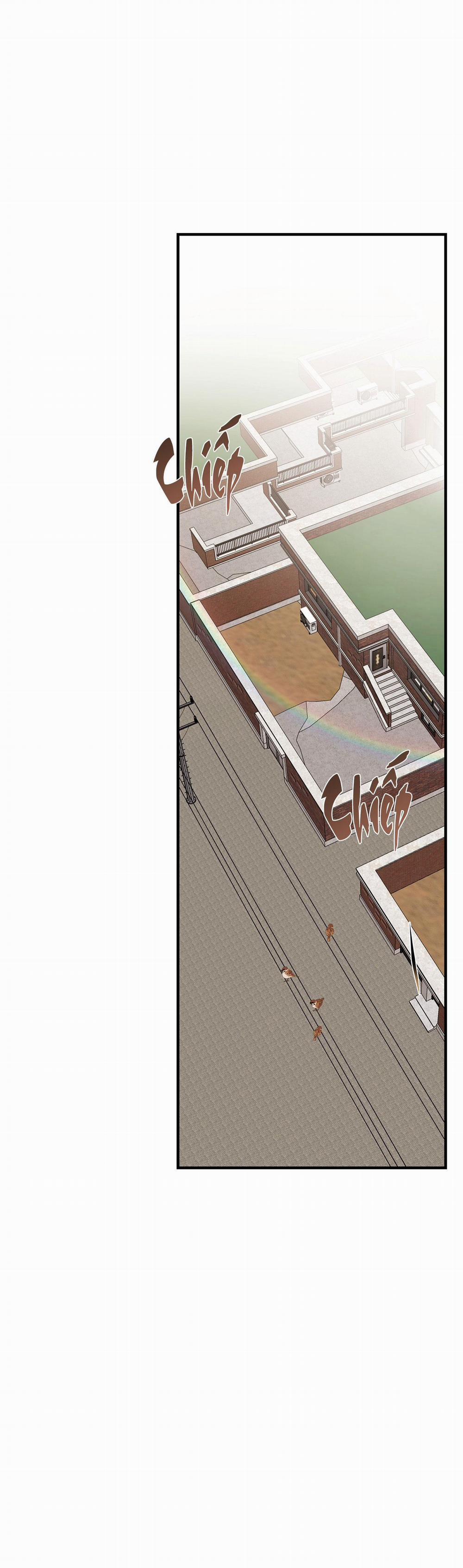 Hổ Trở Về 25 trang 0