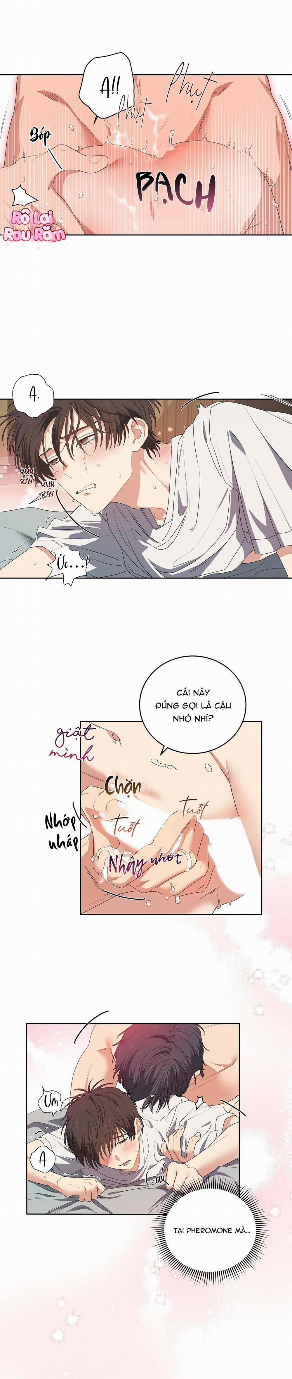 Hoa Anh Đ Ào    1 trang 1