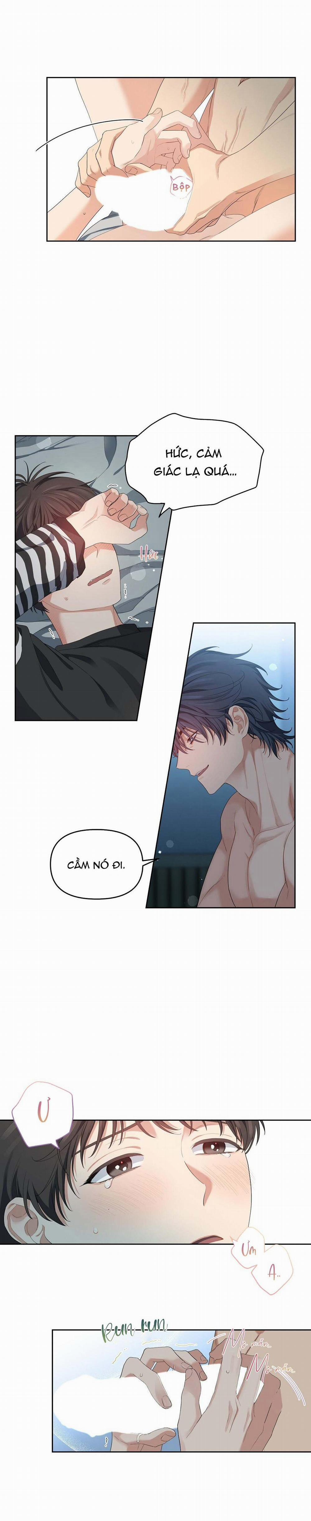 Hoa Anh Đ Ào    10 trang 1