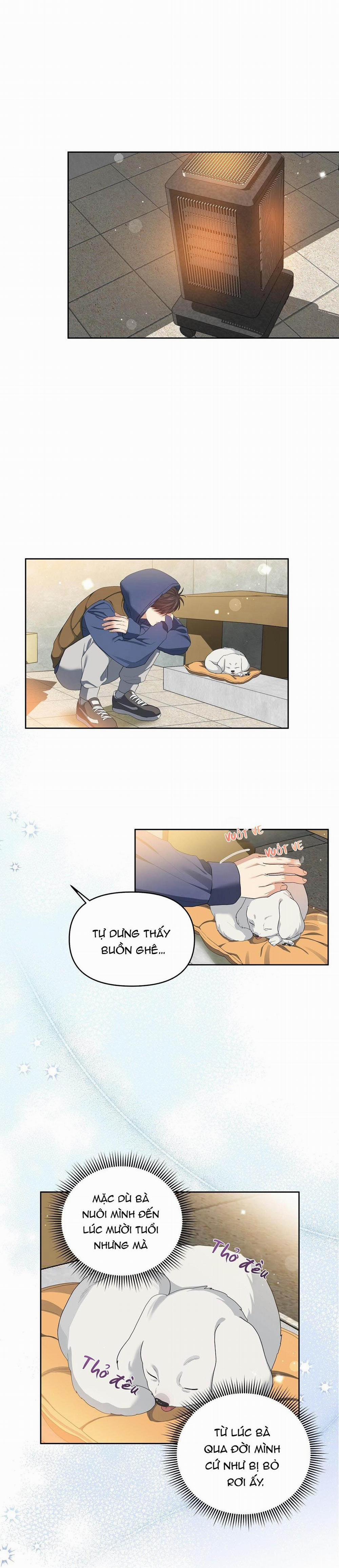 Hoa Anh Đ Ào    12 trang 16