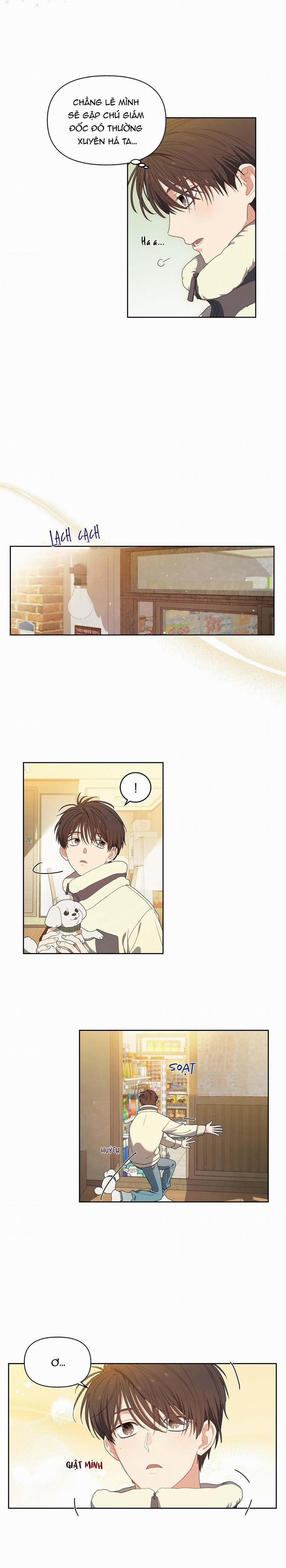 Hoa Anh Đ Ào    2 trang 1