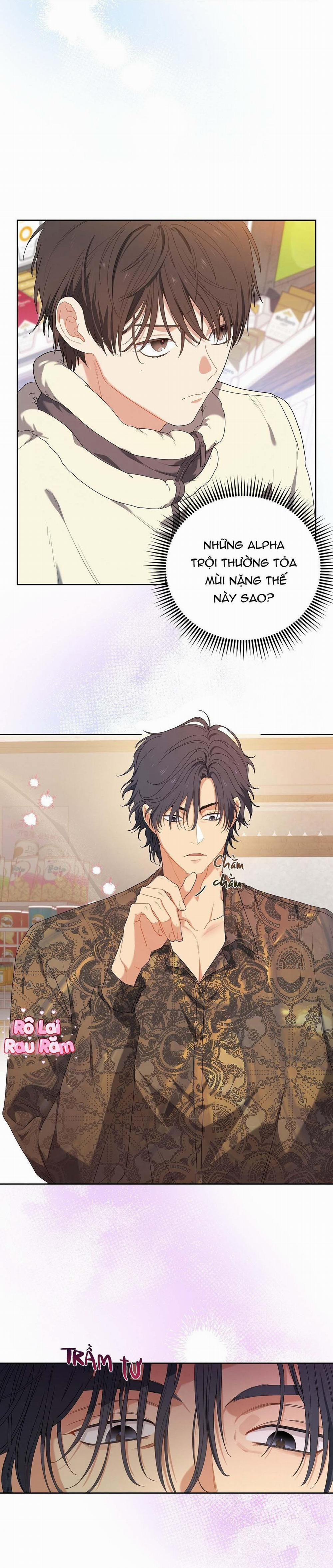 Hoa Anh Đ Ào    2 trang 8