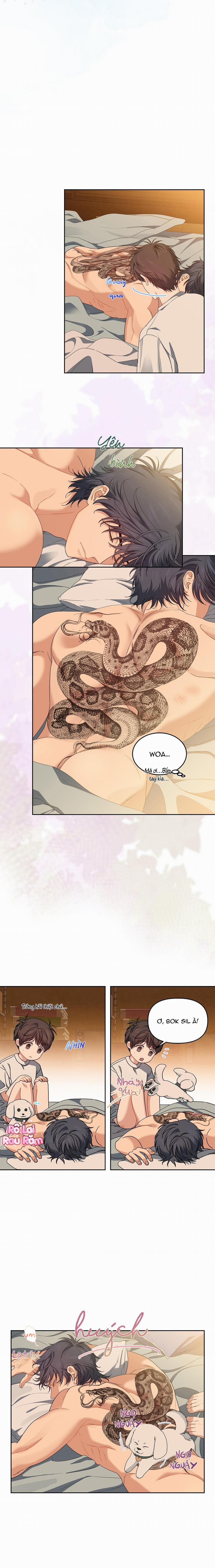 Hoa Anh Đ Ào    21 trang 2