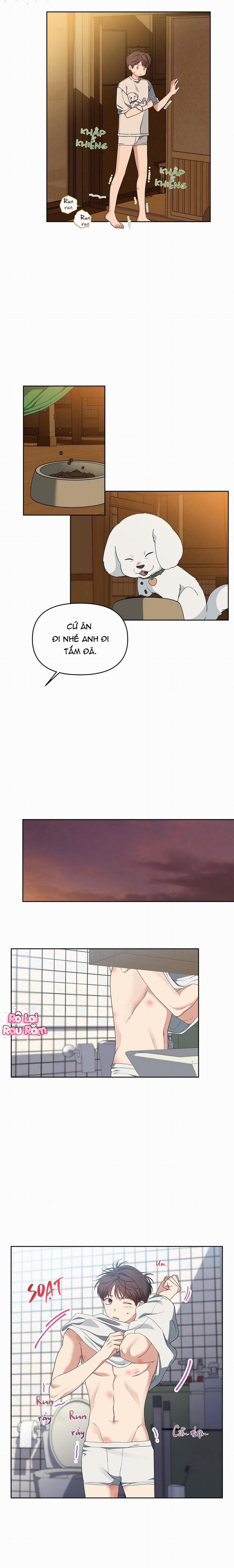 Hoa Anh Đ Ào    21 trang 4