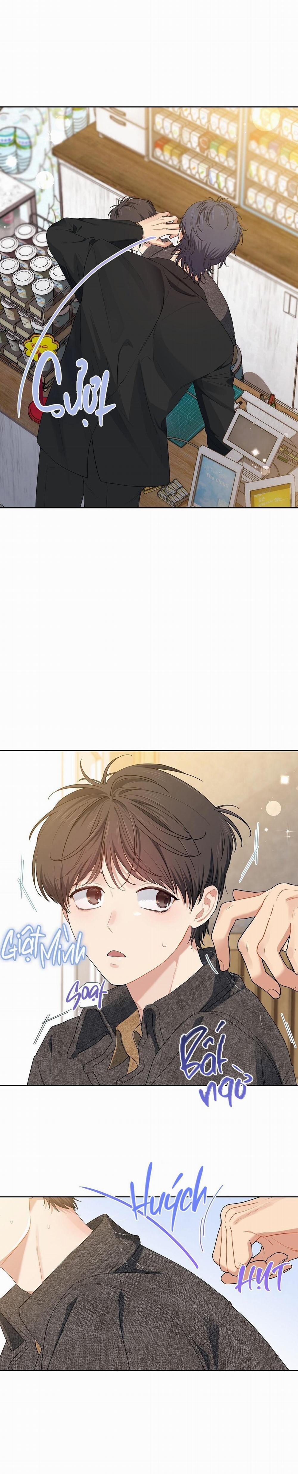 Hoa Anh Đ Ào    24 trang 10