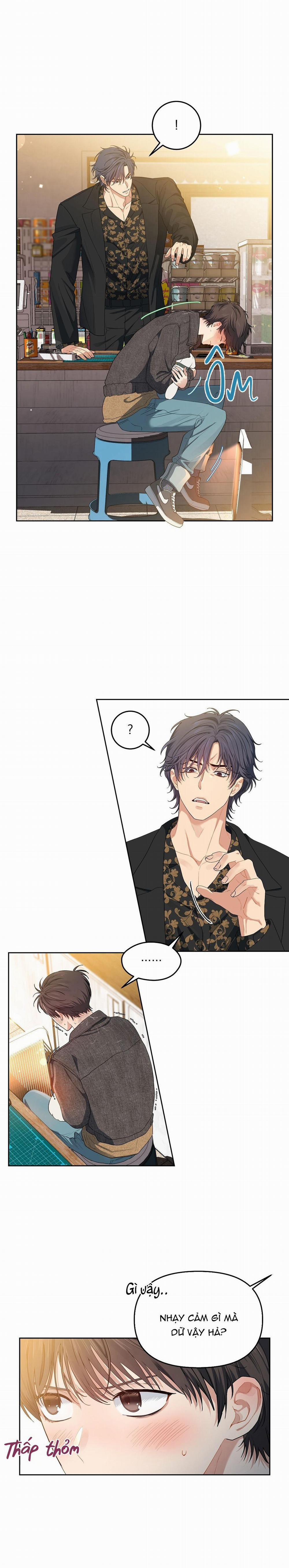 Hoa Anh Đ Ào    24 trang 11