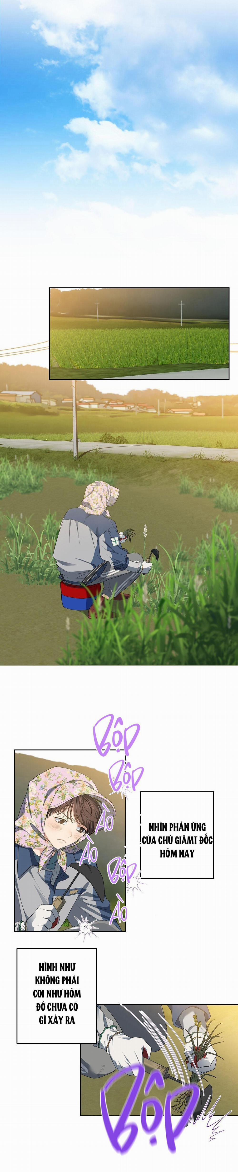 Hoa Anh Đ Ào    24 trang 17