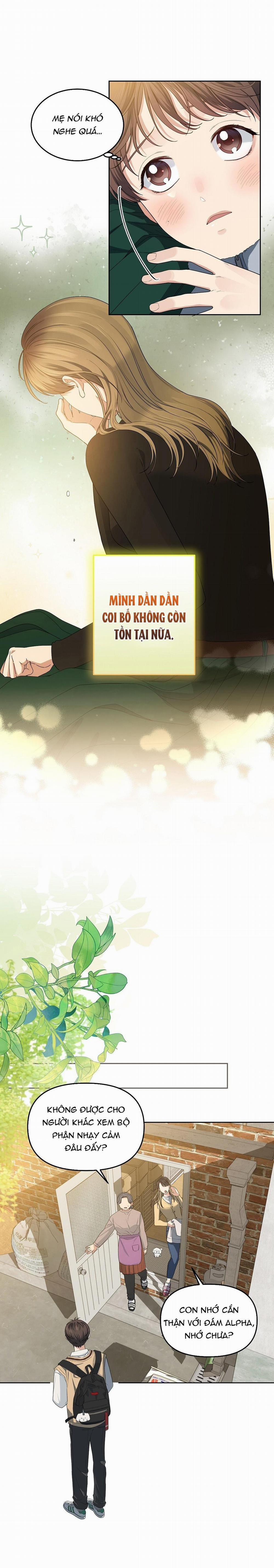 Hoa Anh Đ Ào    25 trang 17