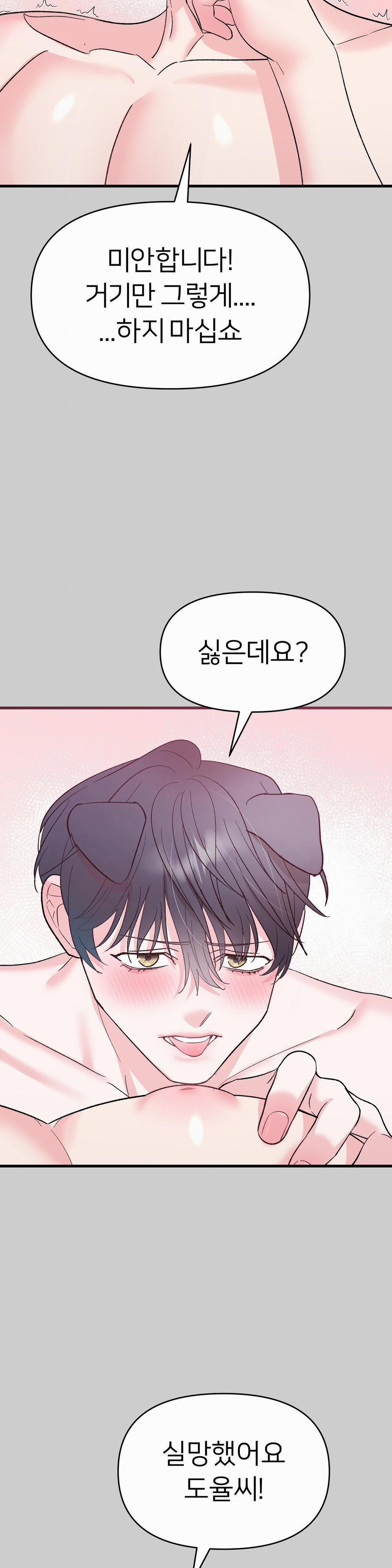 Hoa Anh Đ Ào    3 trang 13