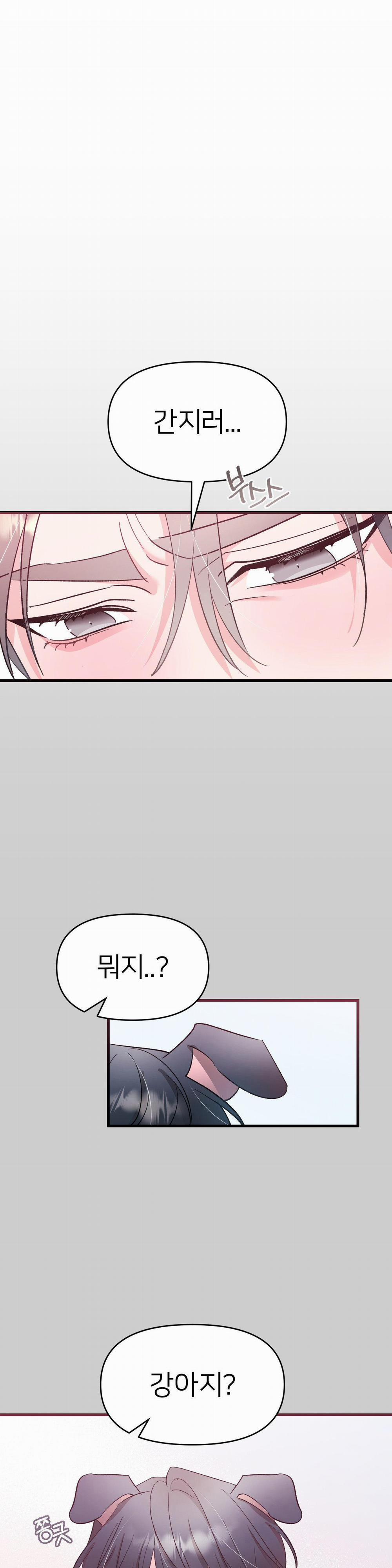 Hoa Anh Đ Ào    3 trang 8