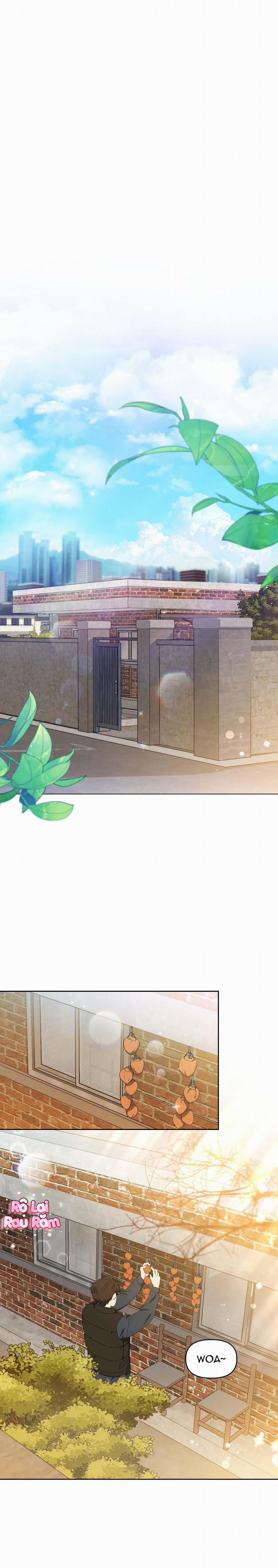 Hoa Anh Đ Ào    6 trang 0