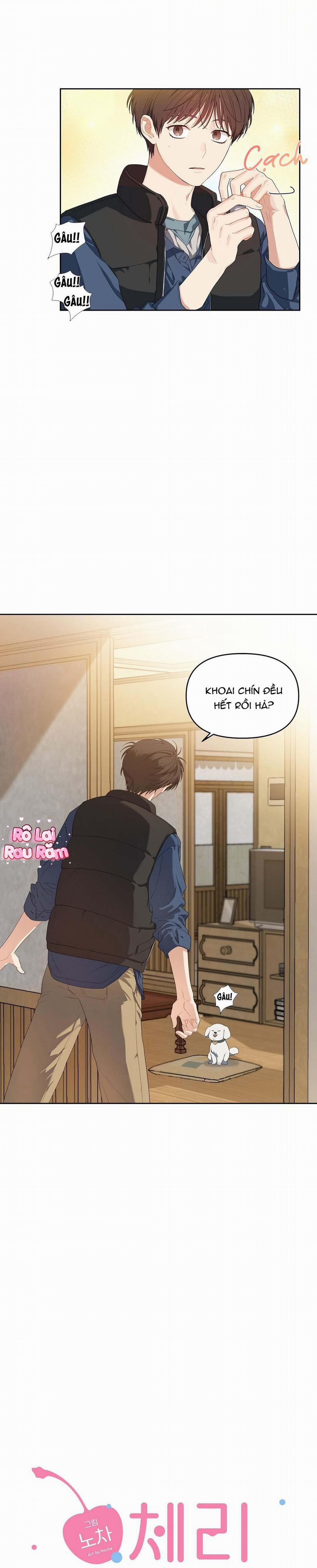 Hoa Anh Đ Ào    6 trang 7