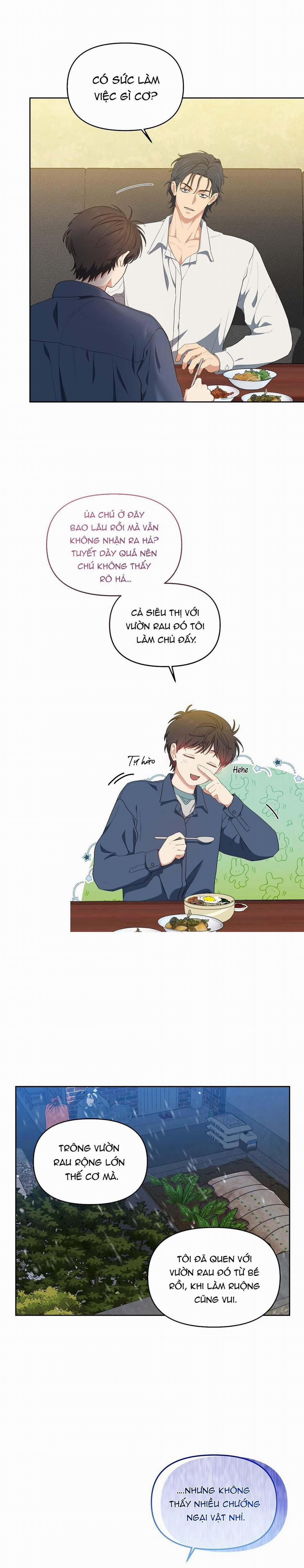 Hoa Anh Đ Ào    7 trang 17