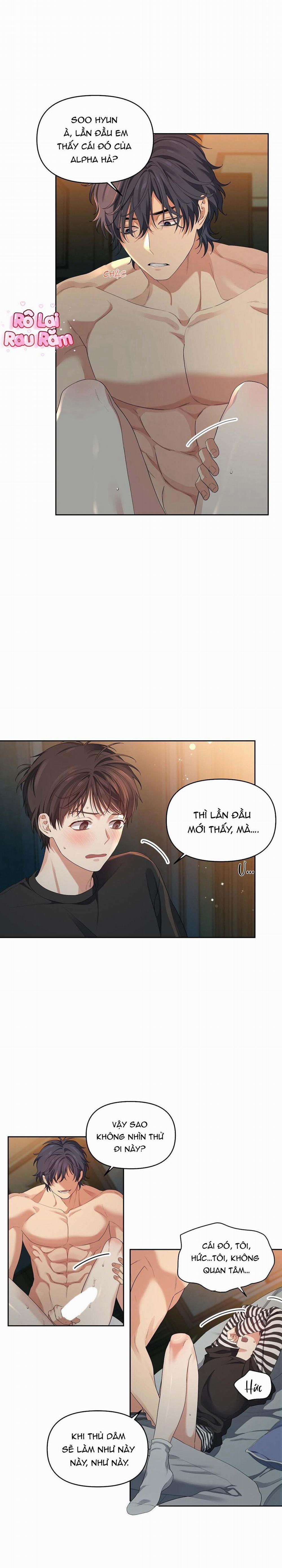 Hoa Anh Đ Ào    9 trang 17