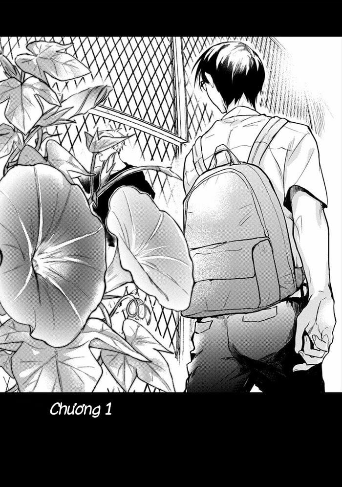 Hoa Bìm Biếc Nở Về Đêm 1 trang 4