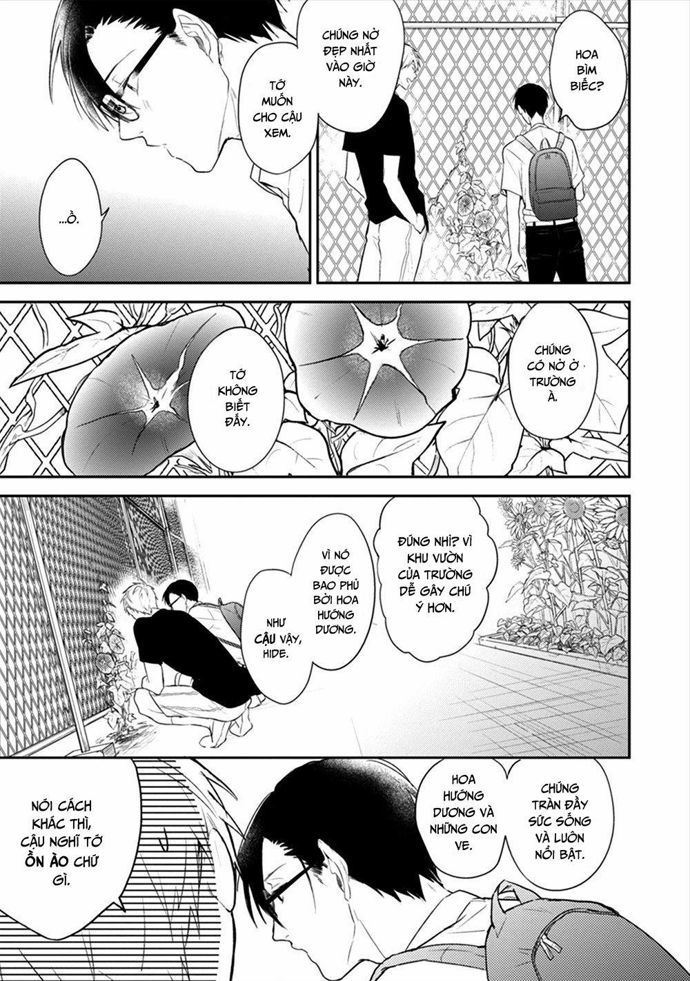 Hoa Bìm Biếc Nở Về Đêm 2 trang 20
