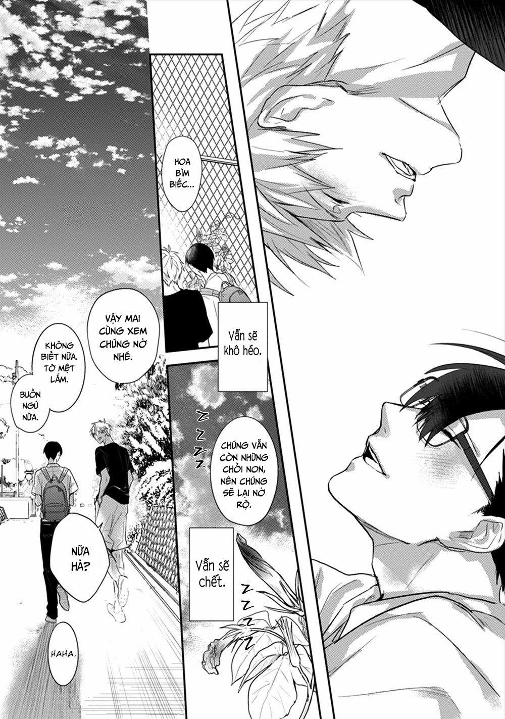 Hoa Bìm Biếc Nở Về Đêm 2 trang 29