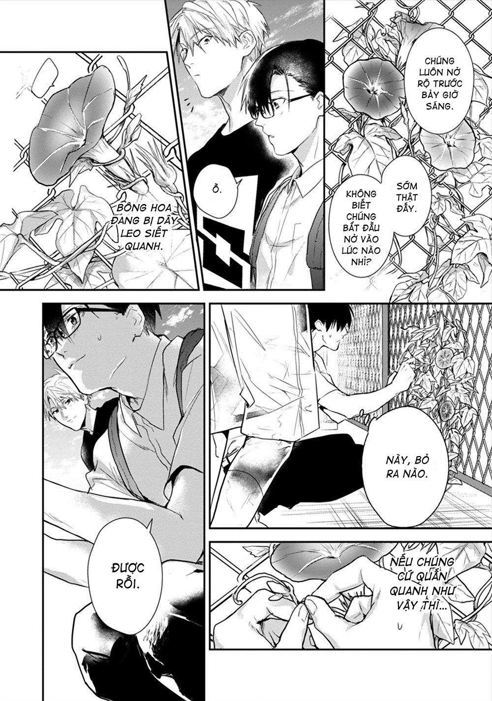 Hoa Bìm Biếc Nở Về Đêm 3 trang 6