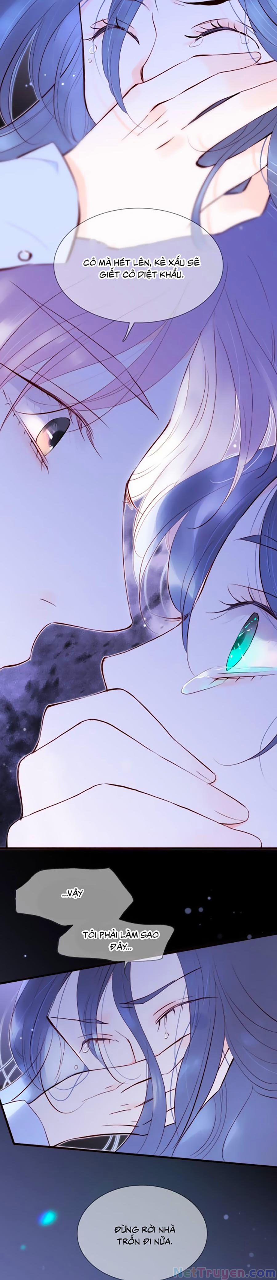 Hoa Bỏ Chạy Với Nhím Rồi 1.2 trang 1