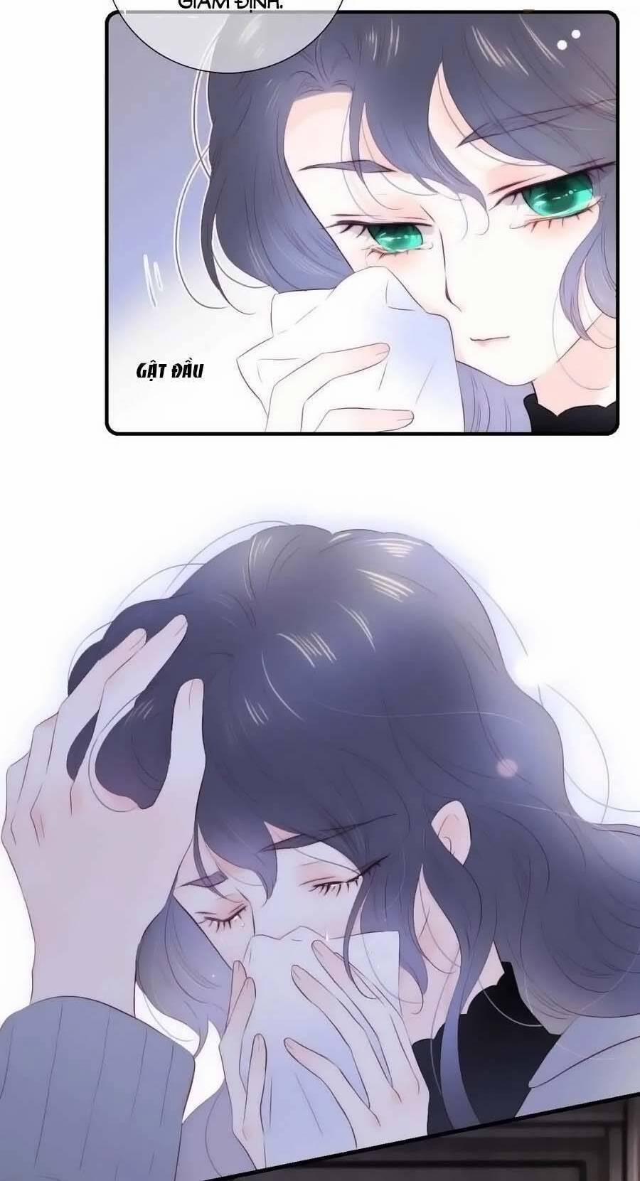 Hoa Bỏ Chạy Với Nhím Rồi 101 trang 13